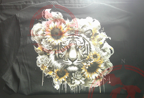 Tigers Gaze Edition 1