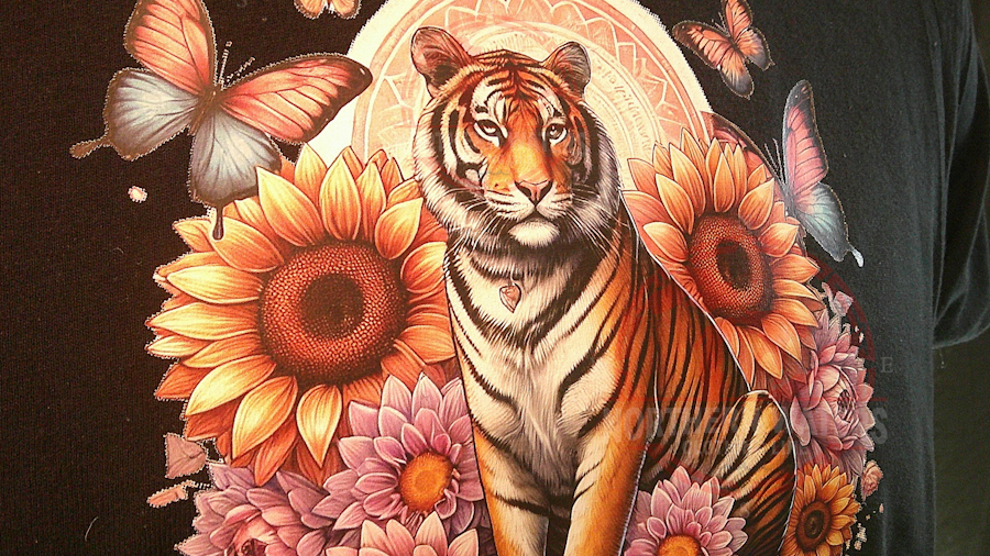 Tigers Gaze Edition 1