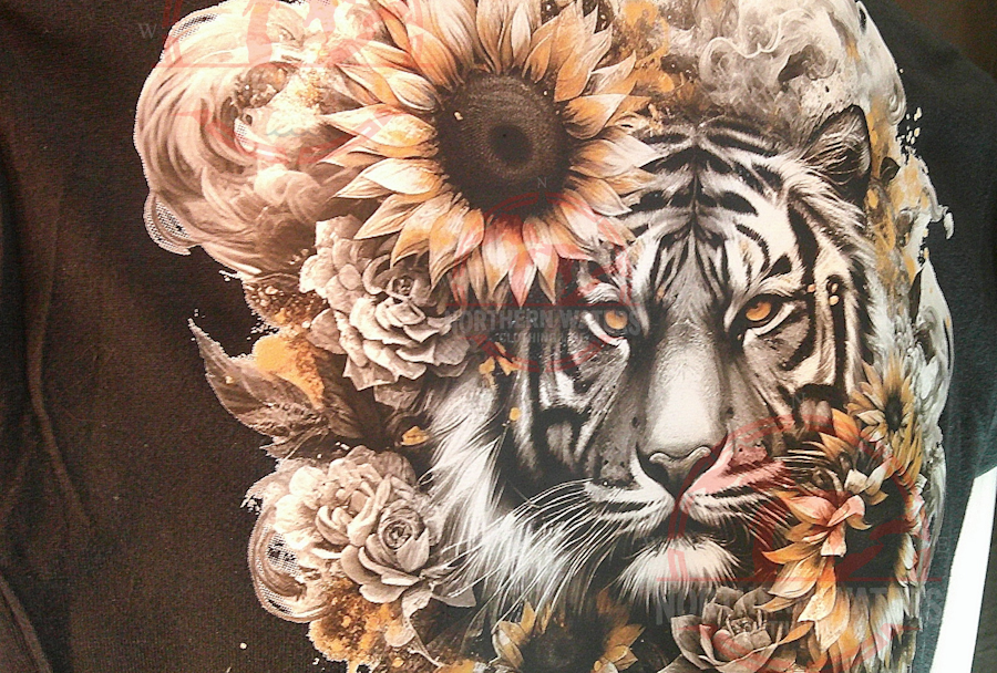 Tigers Gaze Edition 1